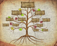 1. Árvore Familiar do FamilySearch - Conceitos elementares de uma árvore genealógicaのサムネイル