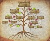 Miniatura para 1. Árvore Familiar do FamilySearch - Conceitos elementares de uma árvore genealógica