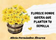 Miniatura de Florece donde quiera que planten tu semilla