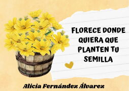 Miniatura de Florece donde quiera que planten tu semilla