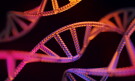 Miniatura para Genealogia aplicada a diversas áreas de estudos