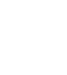 Miniaturansicht für Browse the RootsTech on-demand library