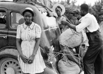 African American Resourcesのサムネイル