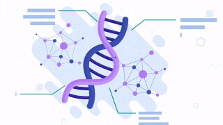 صورة مصغرة لـ Understanding DNA Ethnicity Results